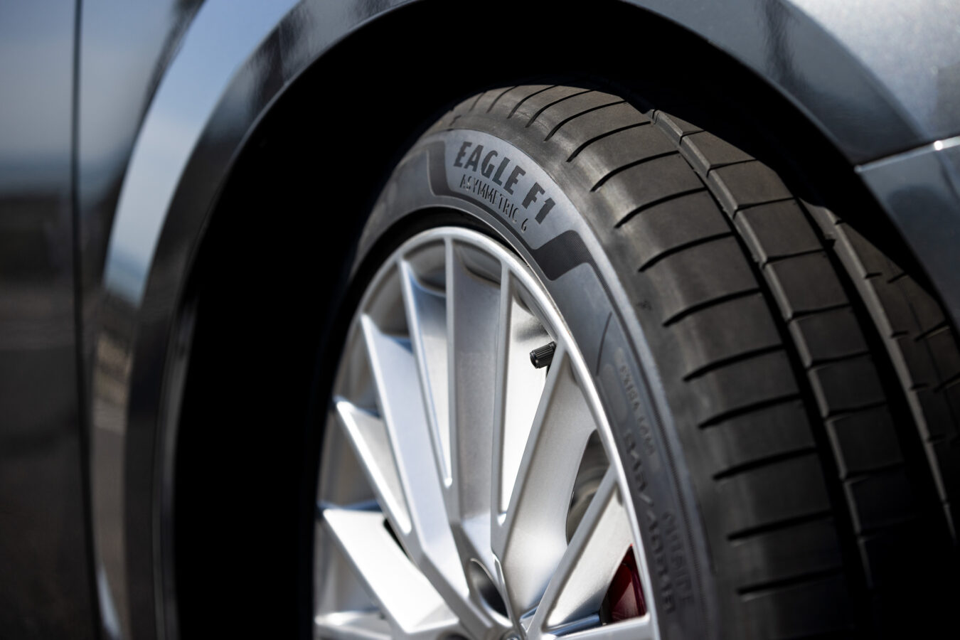 Goodyear Eagle F1 Asymmetric 6 – hvordan klarede Goodyears nyankomne sig i testene?